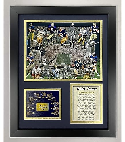 Amazon.com: Notre Dame Fighting Irish | 2025 Orange Bowl Champions